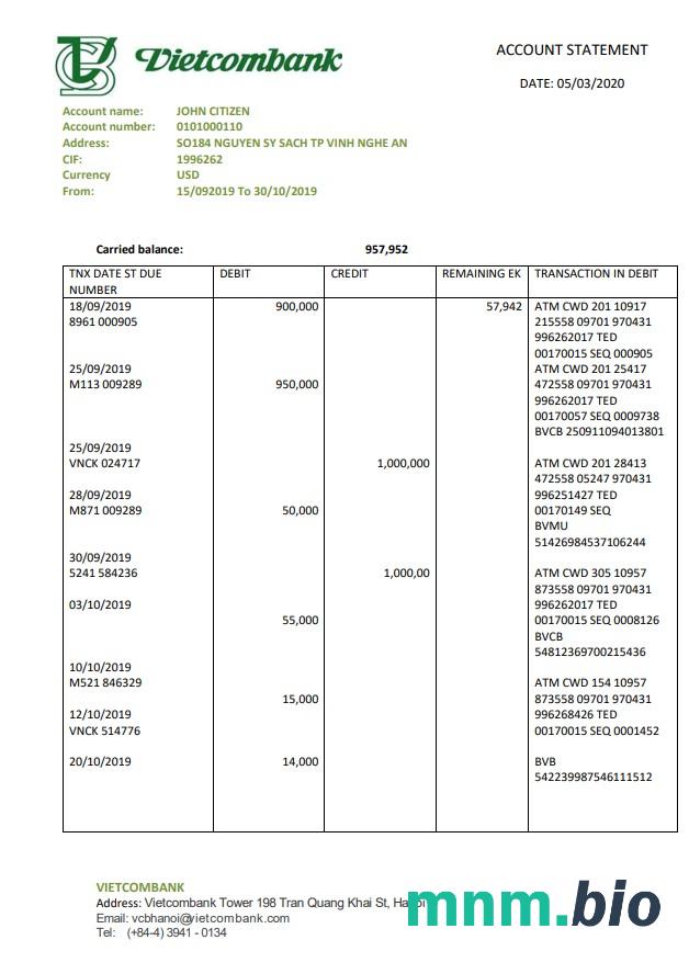 Vietnam Vietcombank wyciąg z konta Word i szablon PDF, Wersja 2